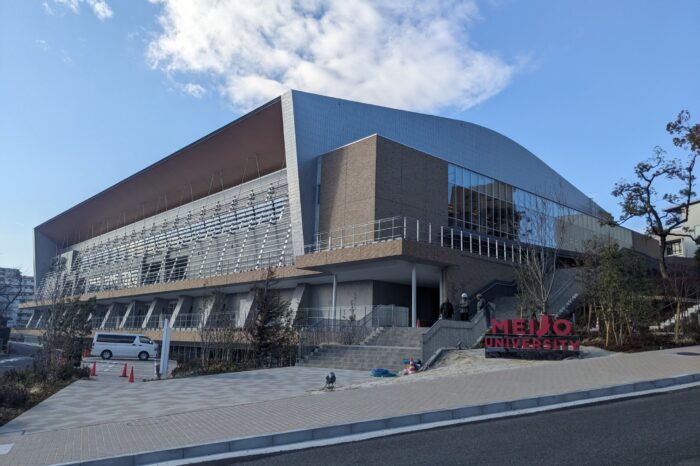 LIONS ARENA